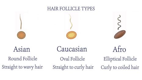 Black hair vs caucasian hair vs asian hair